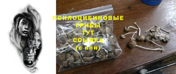 гидра Осташков