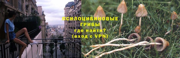 гидра Осташков