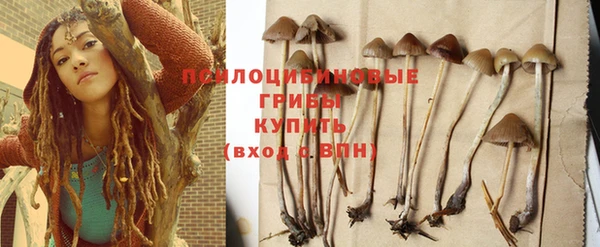 jwh Осинники