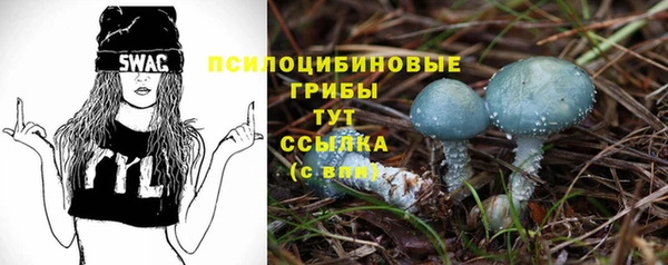 jwh Осинники
