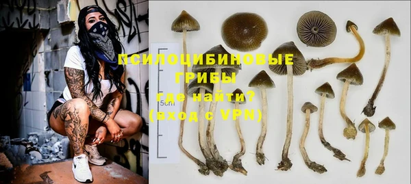 спиды Абинск