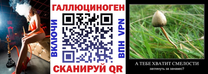 Псилоцибиновые грибы Cubensis  как найти   Южа 